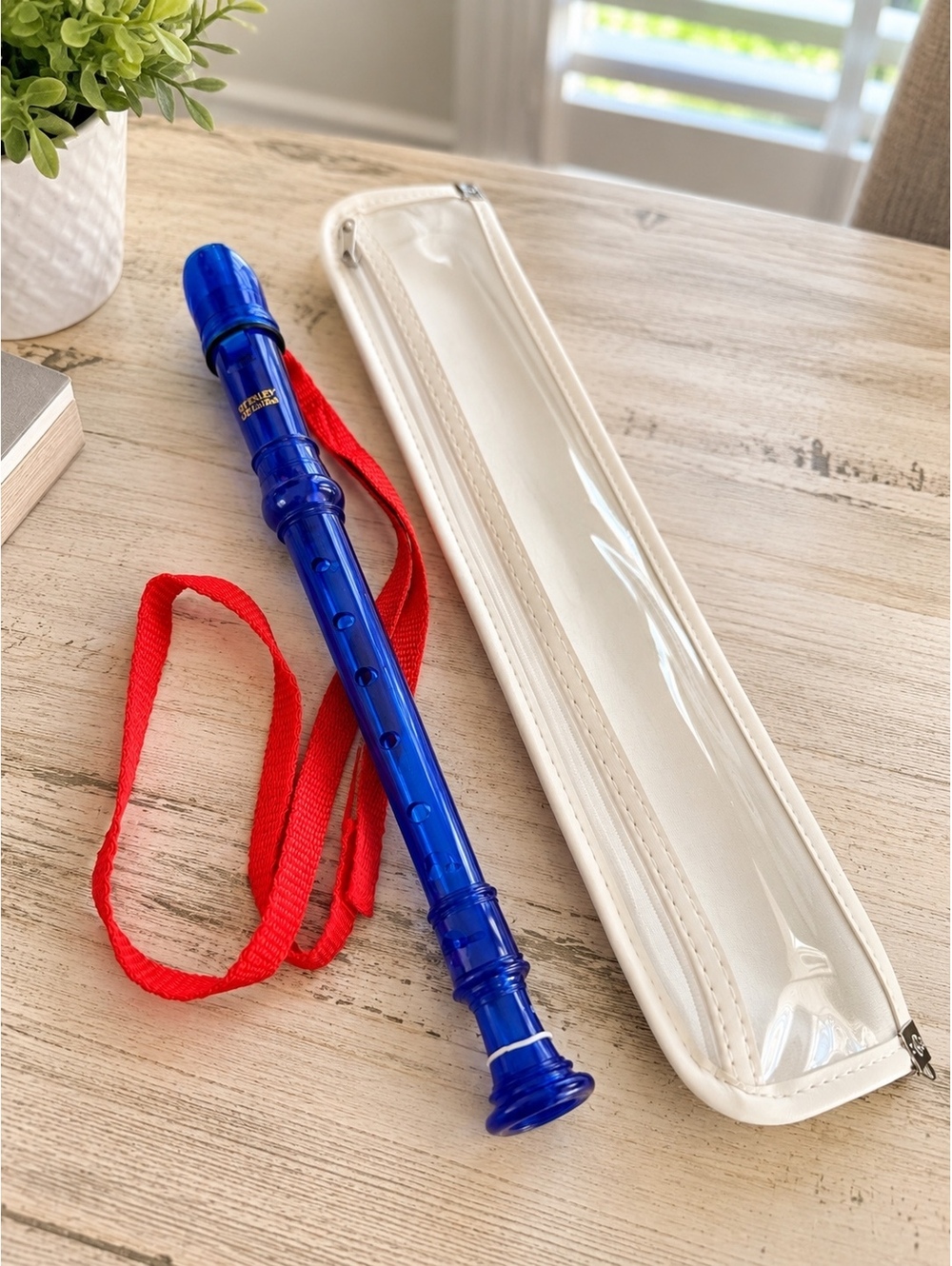 Kingsley Kids Blue Recorder w/ Lanyard & Carrying Case